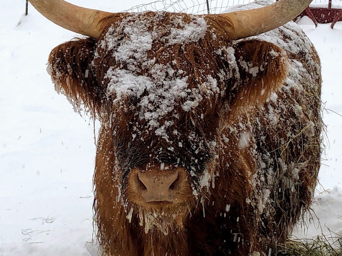Feb. 12: Jackson County farm